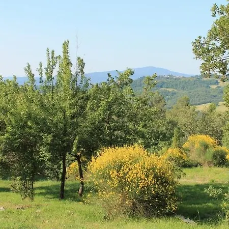 Podere Costarella *